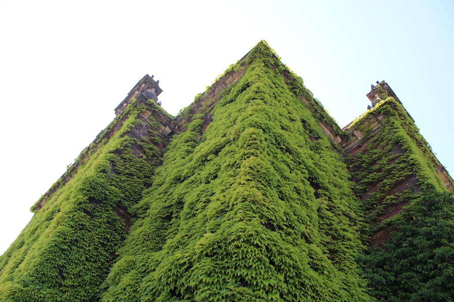 Photo Green building